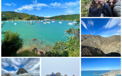 Over The River And Through The Woods : Hiking Adventures In New Zealand