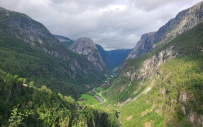 Self Reflecting in Flam