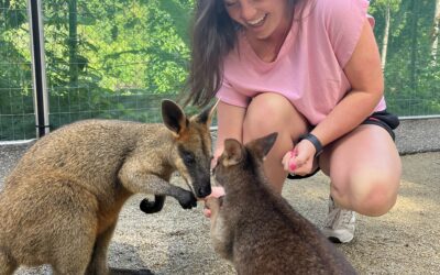 Global Journey: Cultural Immersion in Australia