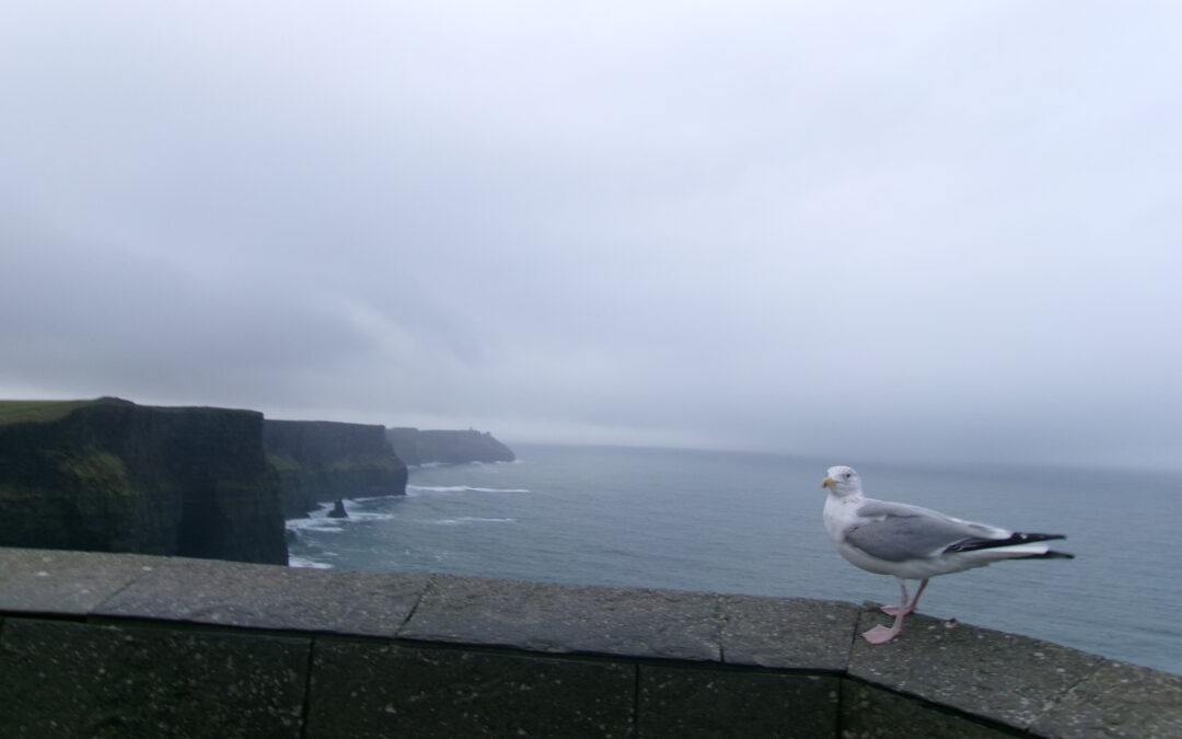 Reflecting on my Time Abroad-University College Dublin