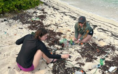 Wrack Line Analysis – Devasting Pollution on the Beaches of Belize